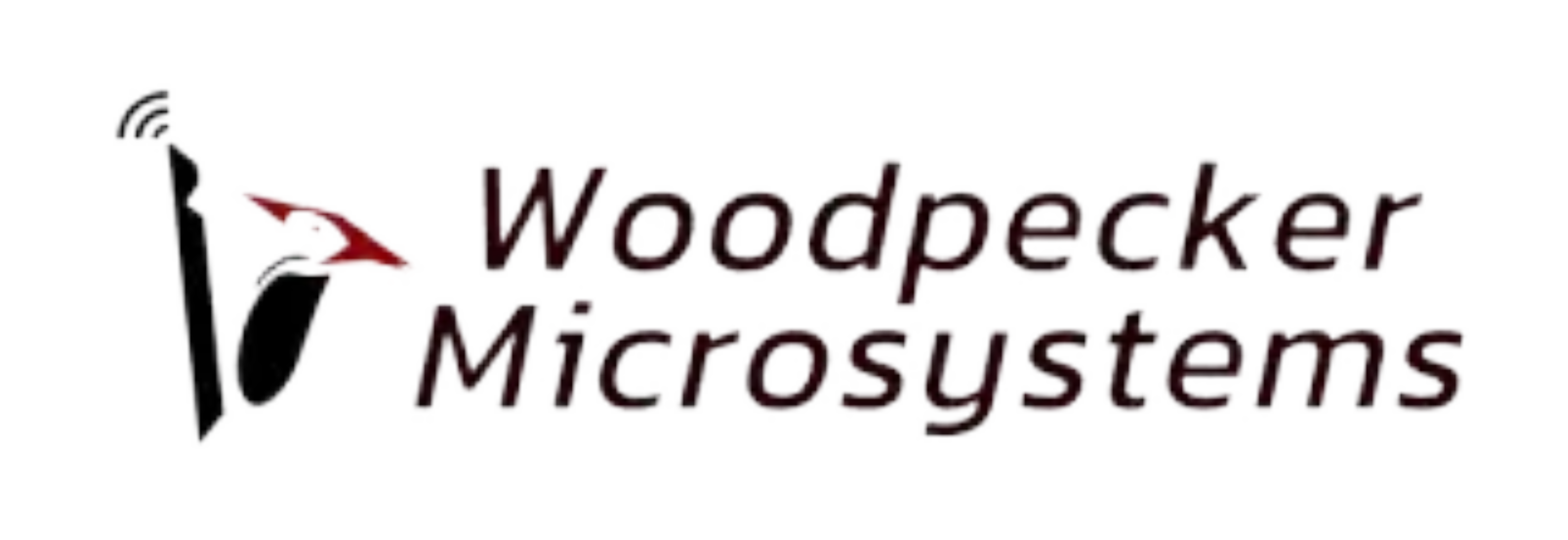 Tree Trak | Tracking Our Forest, One Tree at a Time